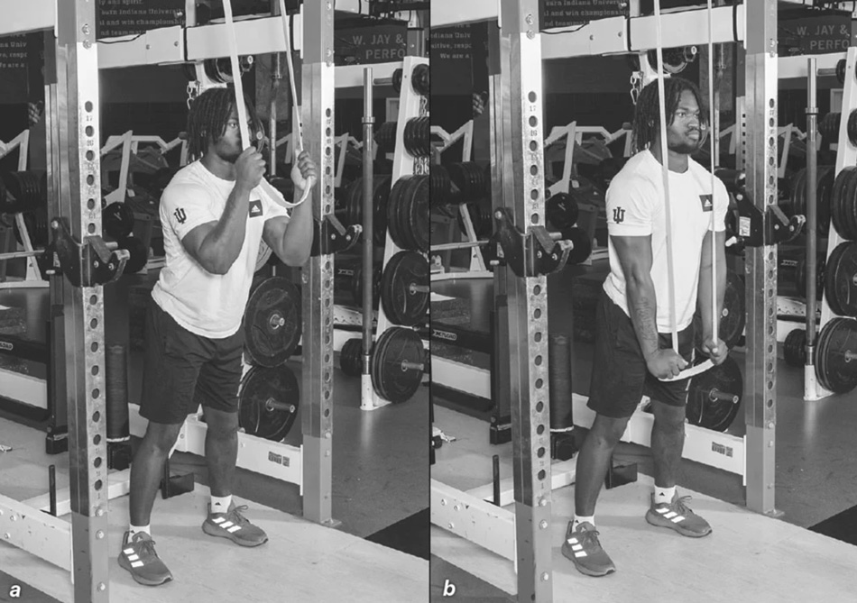 Band Triceps Pushdown graphic