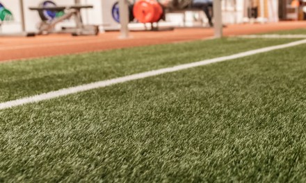 Top 5 Benefits Of Installing Indoor Turf