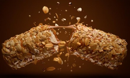 Honey Stinger OAT + HONEY Bar