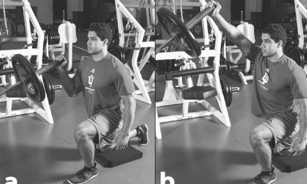 Half-Kneeling Landmine One-Arm Press