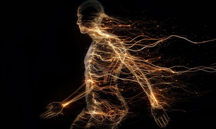 Understanding Central Nervous System Load To Balance Sport Demands