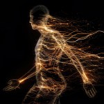 Understanding Central Nervous System Load To Balance Sport Demands