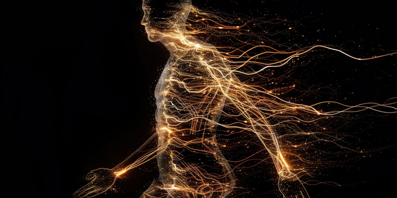 Understanding Central Nervous System Load To Balance Sport Demands